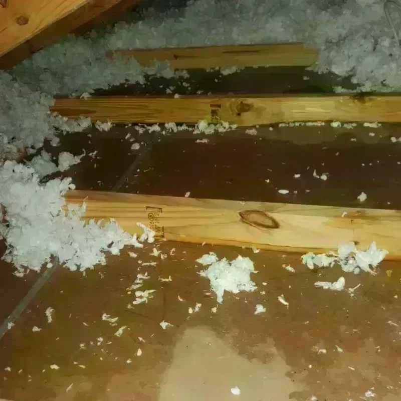 Attic Water Damage in White County, GA