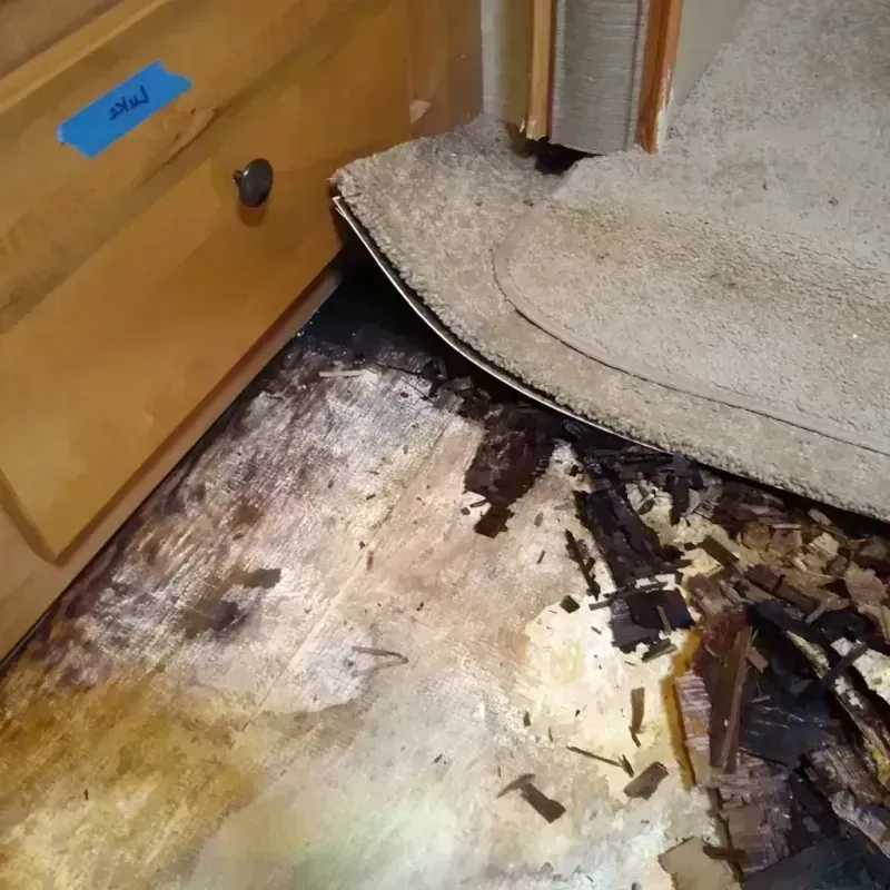 Wood Floor Water Damage in White County, GA